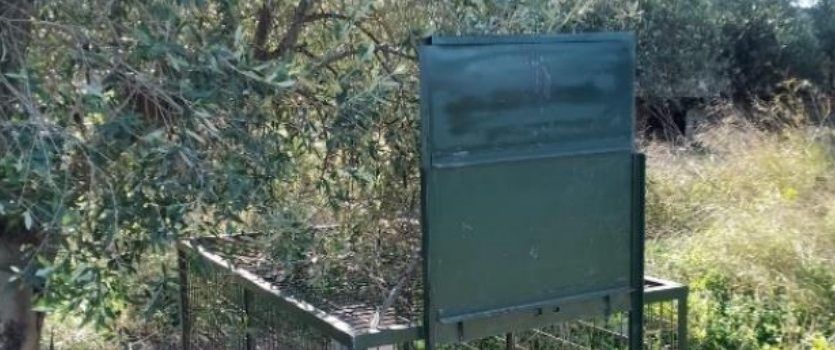 L’Ajuntament d’Alcalà-Alcossebre adjudica un servei per a la localització i captura de porcs senglars