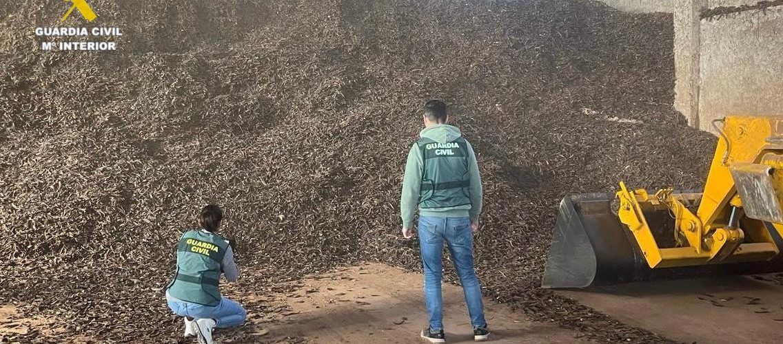 La Guardia Civil detiene en Vinaròs a 4 personas por introducir en el mercado ilícitamente 37 toneladas de olivas y algarrobas