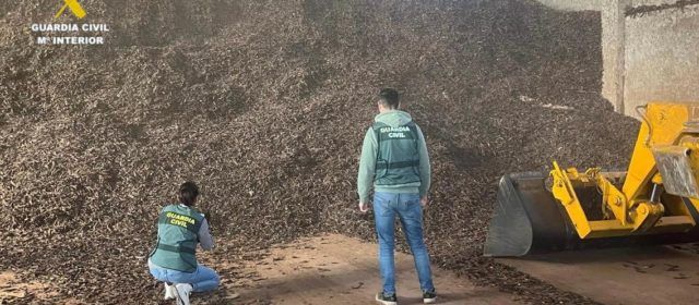 La Guardia Civil detiene en Vinaròs a 4 personas por introducir en el mercado ilícitamente 37 toneladas de olivas y algarrobas