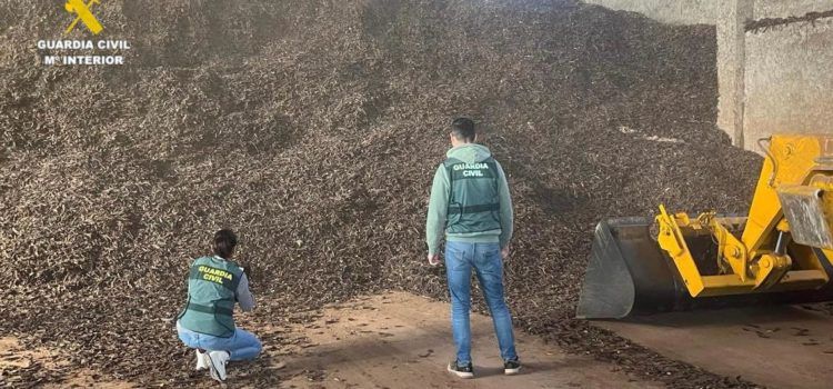La Guardia Civil detiene en Vinaròs a 4 personas por introducir en el mercado ilícitamente 37 toneladas de olivas y algarrobas