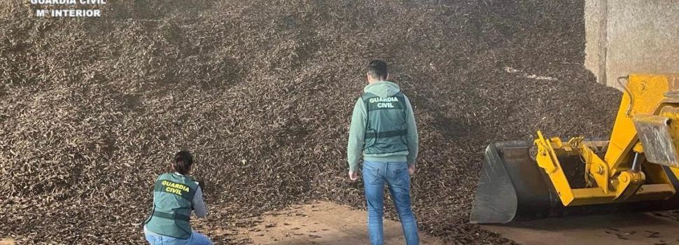 La Guardia Civil detiene en Vinaròs a 4 personas por introducir en el mercado ilícitamente 37 toneladas de olivas  y algarrobas