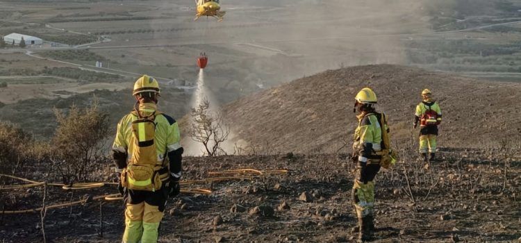 Controlado un incendio forestal declarado en Coves de Vinromà