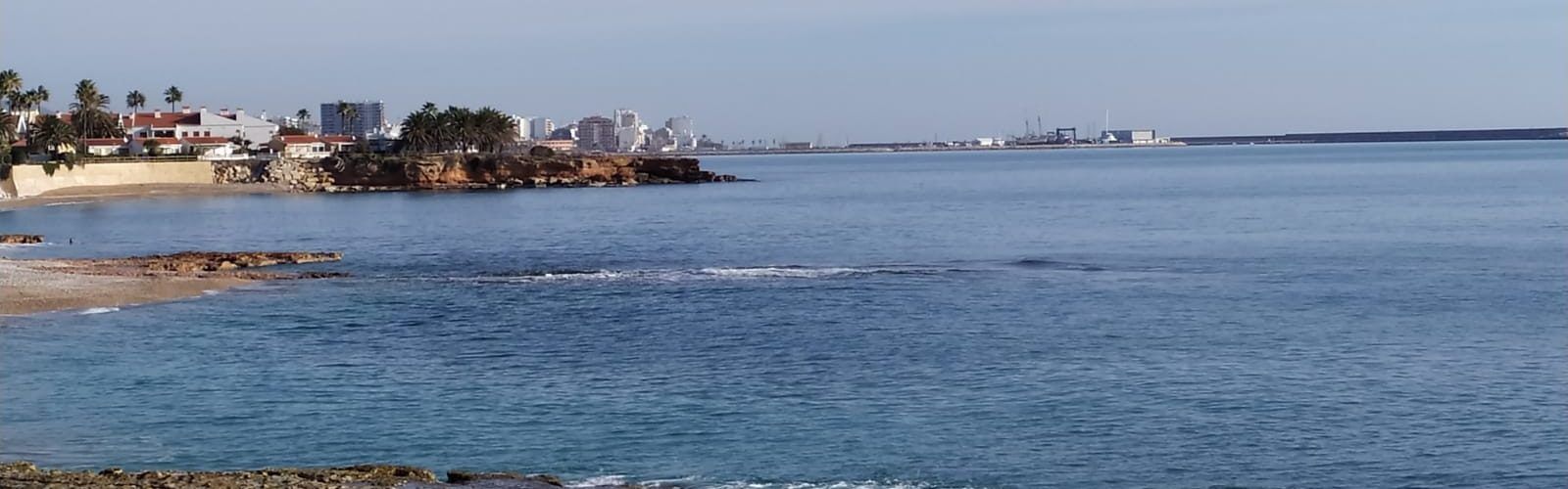 El “parte” del temps:sol i sépies, poques coses a la vista