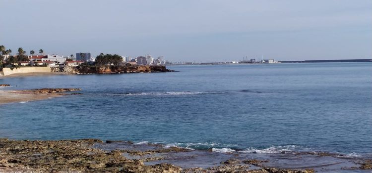 El “parte” del temps:sol i sépies, poques coses a la vista