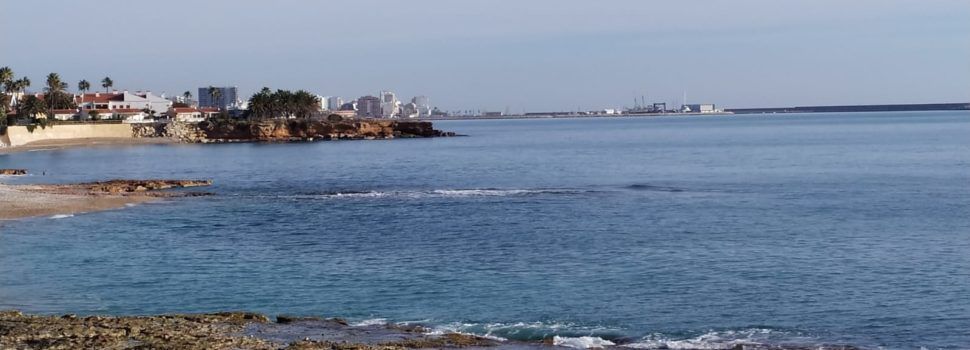 El “parte” del temps:sol i sépies, poques coses a la vista