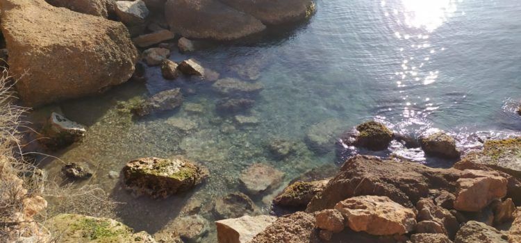 El “parte” del temps:caloreta i demà més