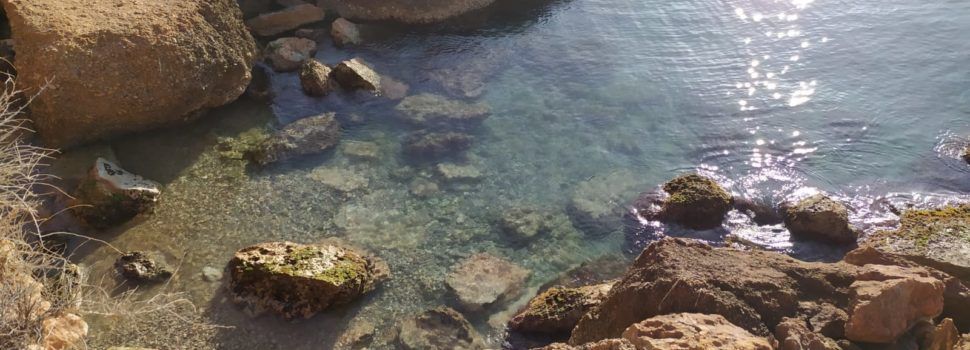 El “parte” del temps:caloreta i demà més
