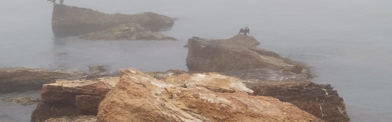 El “parte” del temps: si escampa la boira, caloreta