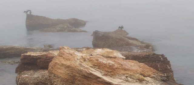 El “parte” del temps: si escampa la boira, caloreta