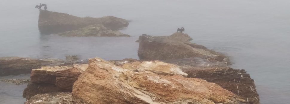 El “parte” del temps: si escampa la boira, caloreta