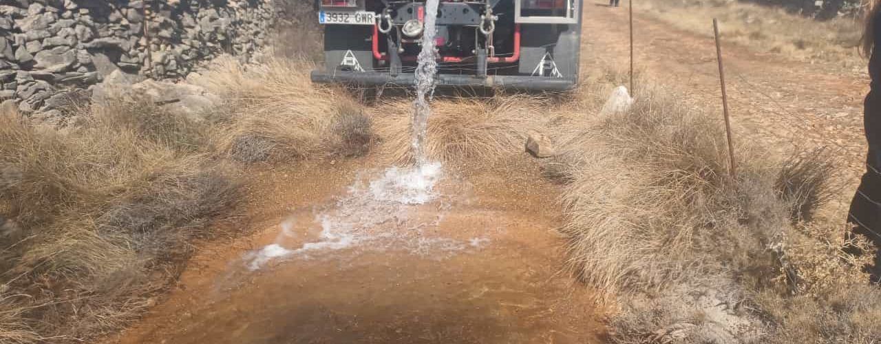 Vilafranca plena d’aigua les basses del terme municipal per a ajudar la fauna salvatge a combatre la sequera