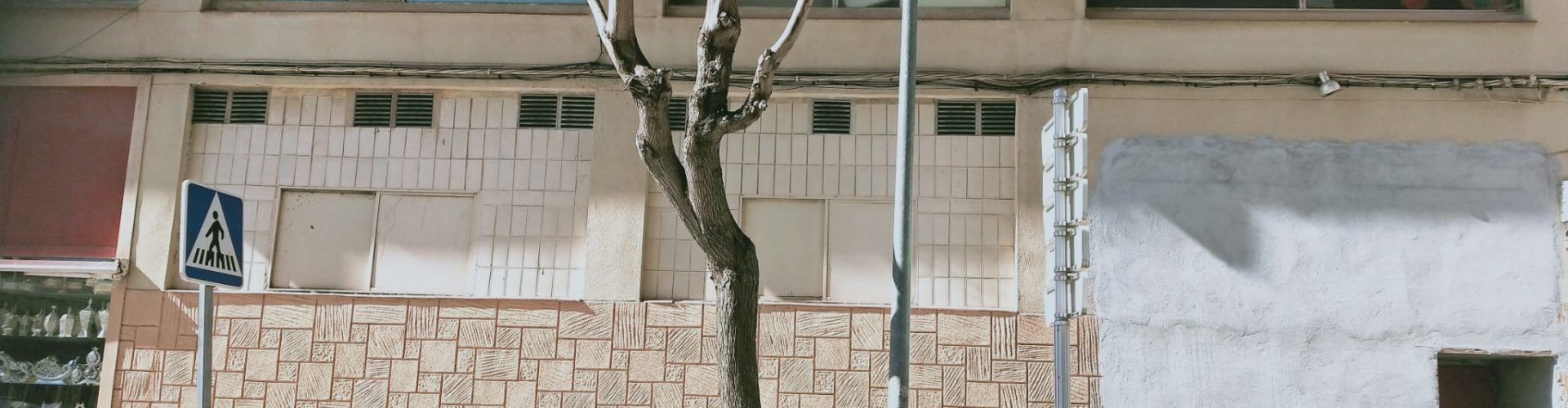 APNAL-Ecologistas en Acción de Vinaròs lamenta las “severas” podas de arbolado en la avenida María Auxiliadora
