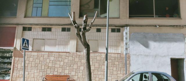 APNAL-Ecologistas en Acción de Vinaròs lamenta las “severas” podas de arbolado en la avenida María Auxiliadora