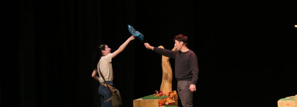 La diversitat i el seu equilibri, en el penúltim espectacle al Teatre Orfeó Montsià d’Ulldecona