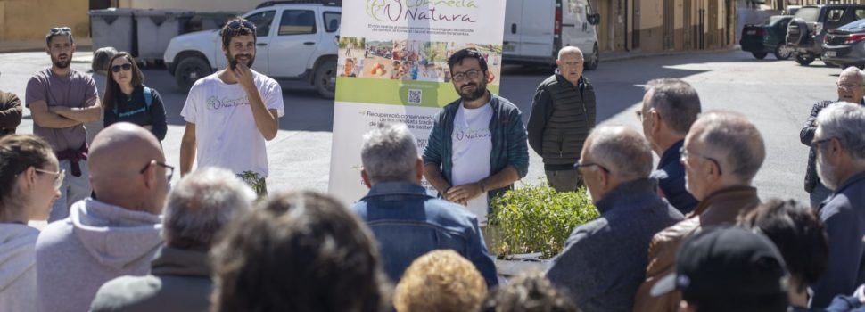 Connecta Natura reparteix planter a Vilafranca per recuperar la biodiversitat de l’entorn