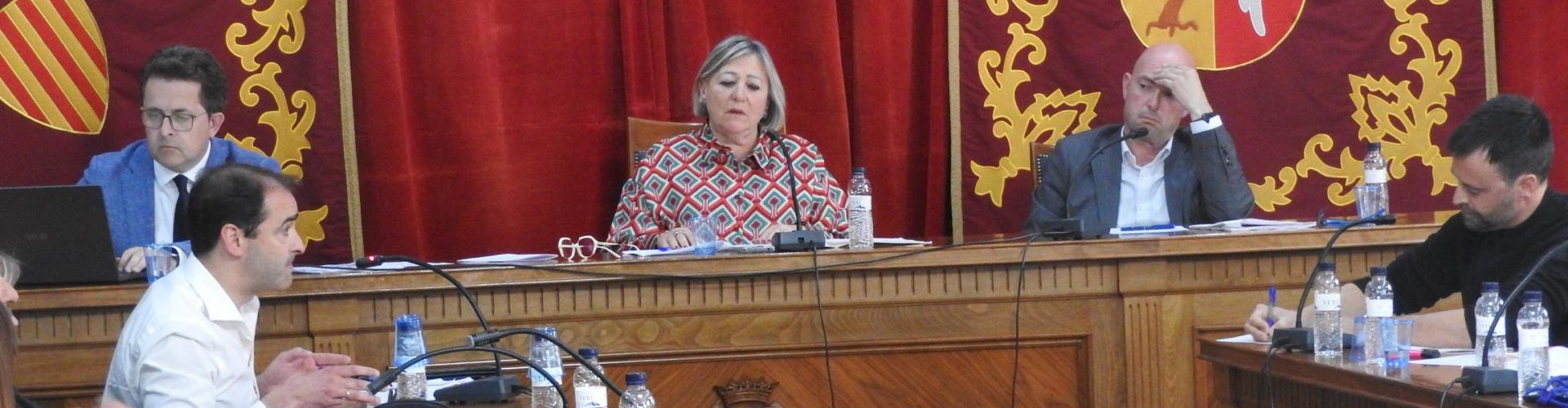 El ple d’abril, en imatges