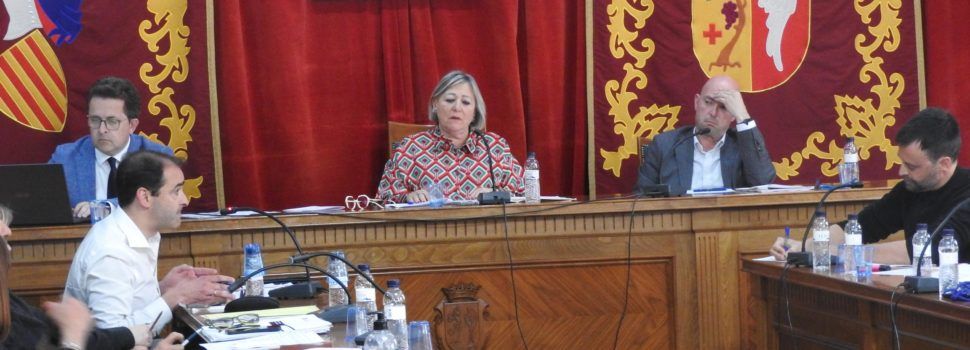 El ple d’abril, en imatges