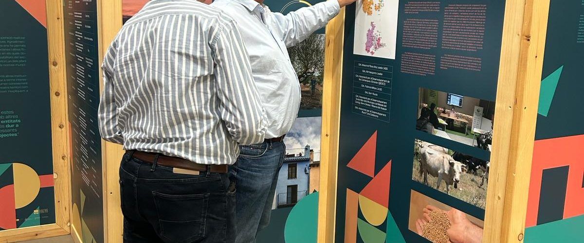 El GAL Maestrat Plana Alta y el Ayuntamiento de Rossell han potenciado el emprendimiento en el municipio