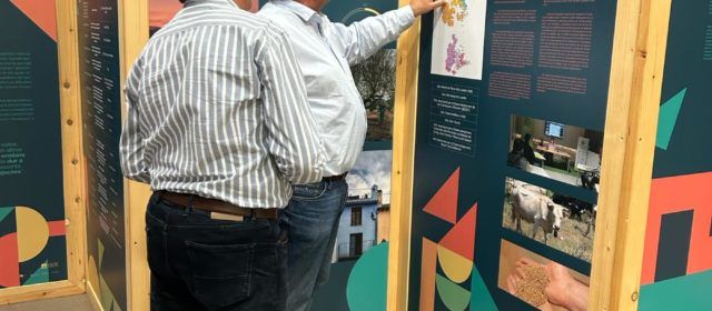 El GAL Maestrat Plana Alta y el Ayuntamiento de Rossell han potenciado el emprendimiento en el municipio