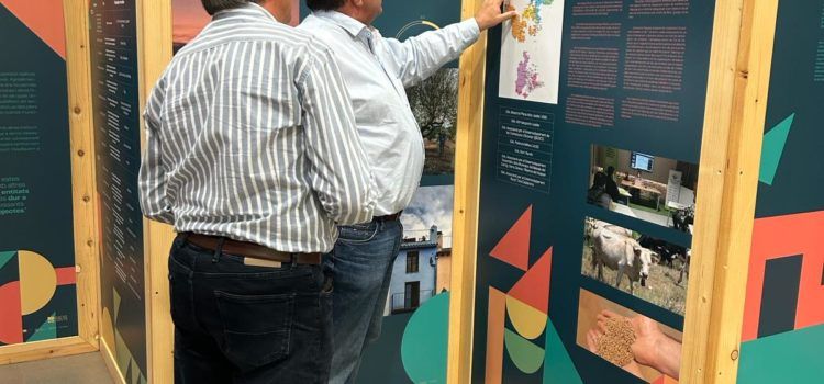 El GAL Maestrat Plana Alta y el Ayuntamiento de Rossell han potenciado el emprendimiento en el municipio