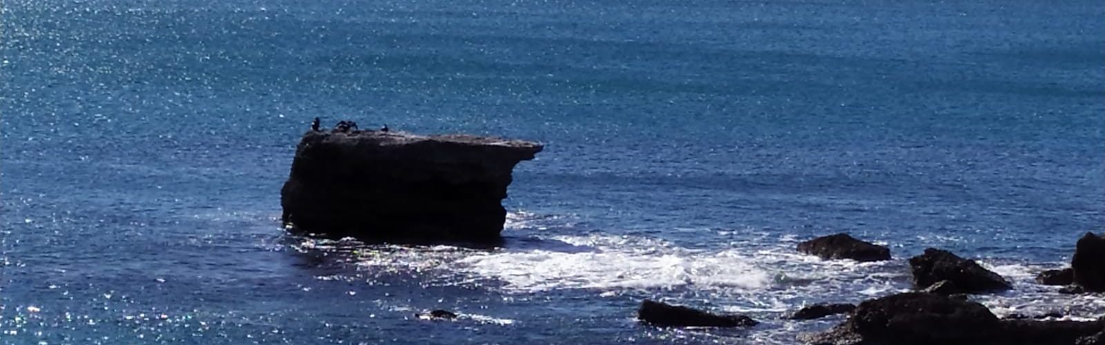 El “parte” del temps: el sol està prou alt i calenta amb ganes