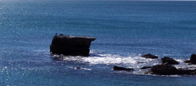 El “parte” del temps: el sol està prou alt i calenta amb ganes