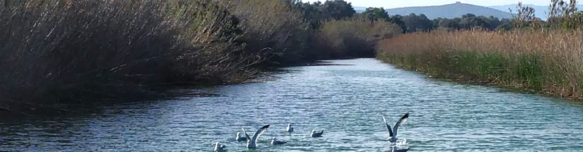El “parte” del temps: fins dilluns, caloreta per no dir calor