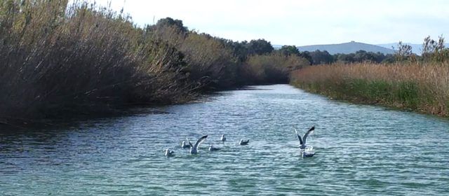 El “parte” del temps: fins dilluns, caloreta per no dir calor