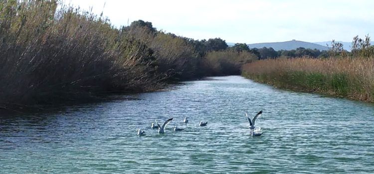 El “parte” del temps: fins dilluns, caloreta per no dir calor