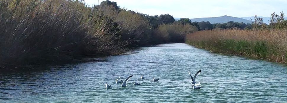 El “parte” del temps: fins dilluns, caloreta per no dir calor