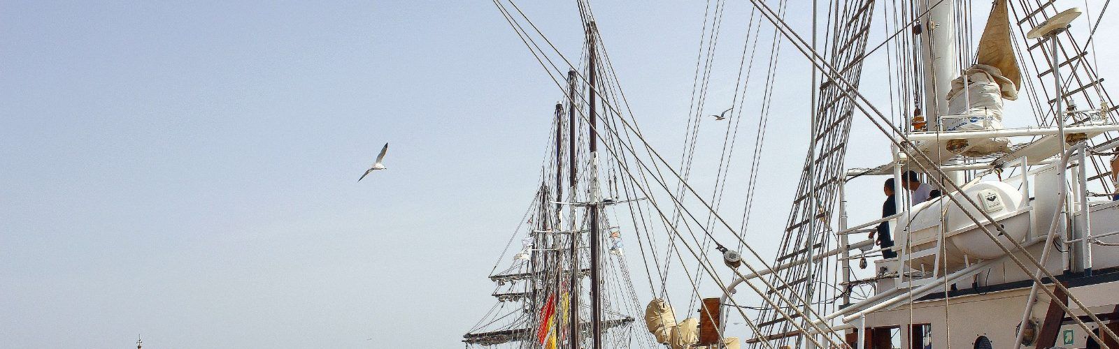 VII edició d’Escala a Castelló