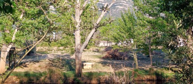 Fotos de la bassa de les Ventalles (Ulldecona)