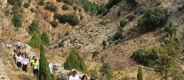 1.562 euros recaptats en la marxa Endavant de Vilafranca