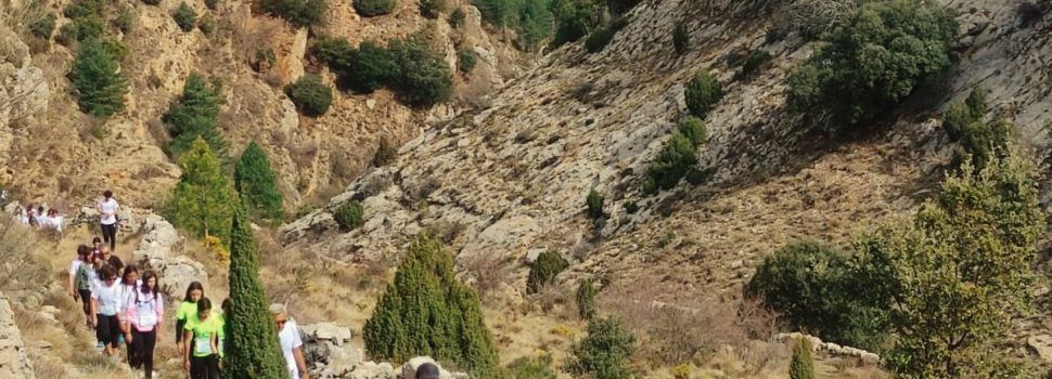 1.562 euros recaptats en la marxa Endavant de Vilafranca