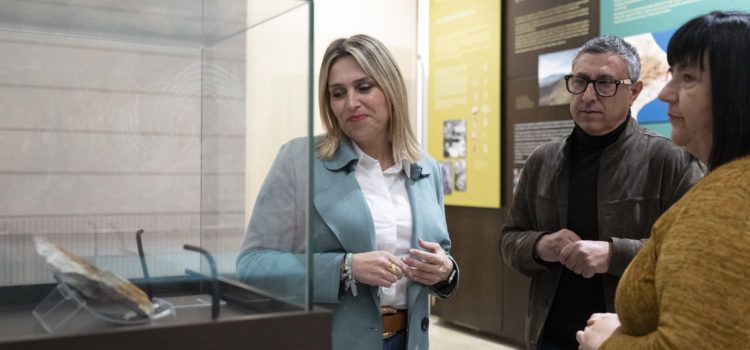 La Diputació de Castelló enaltix el Museu de la Valltorta amb el Mèrit de les Arts en el Dia de la Província