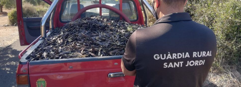El alcalde de Sant Jordi refuerza la vigilancia en el pueblo por la inacción del Gobierno pese a la oleada de robos