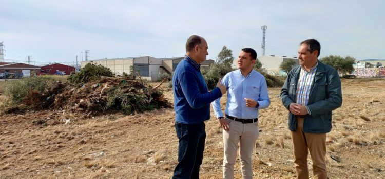 Benicarló desbrossa parcel·les municipals per evitar el perill d’incendi