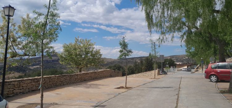 Comença el repoblament i recuperació d’espais verds a Morella