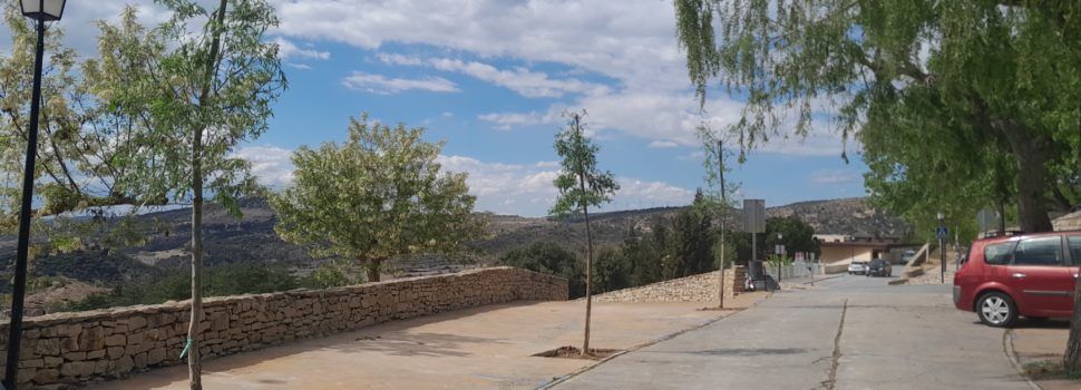 Comença el repoblament i recuperació d’espais verds a Morella