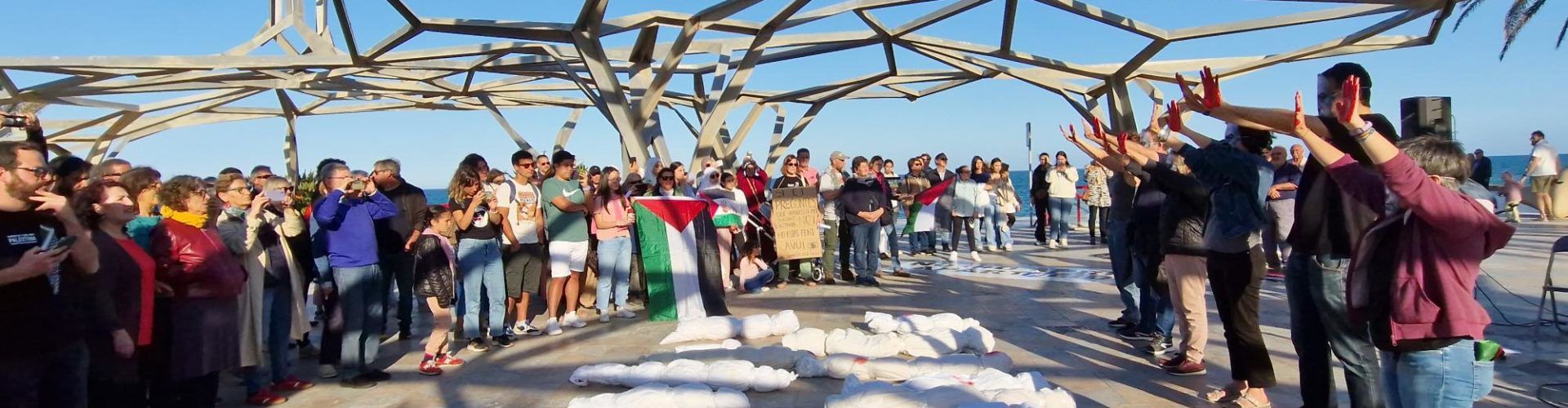 Performance del Grup de Suport al Poble Palestí de Vinaròs