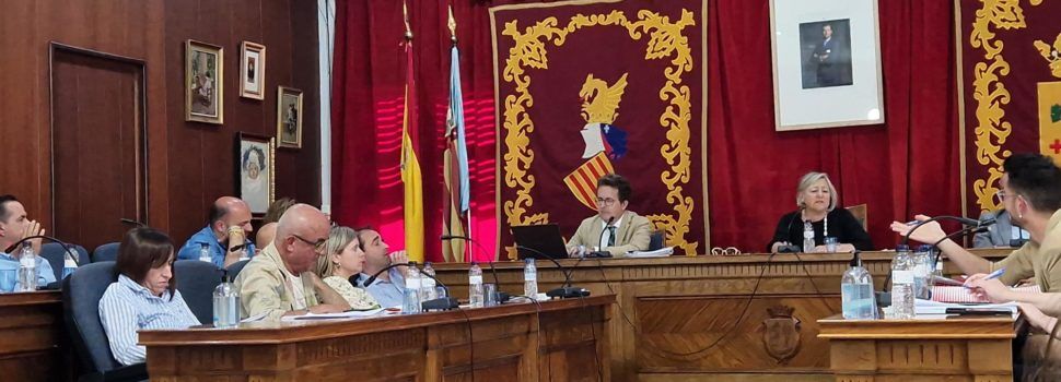 Vídeos i fotos del plenari ordinari de maig