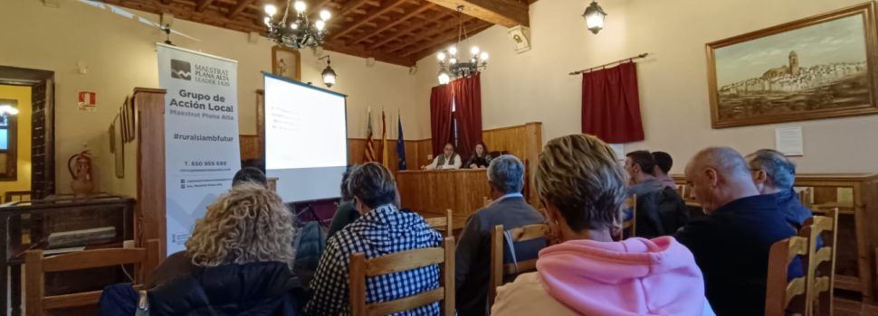 El GAL Maestrat Plana Alta moderniza su web para mejorar el servicio que presta a empresas y personas emprendedoras