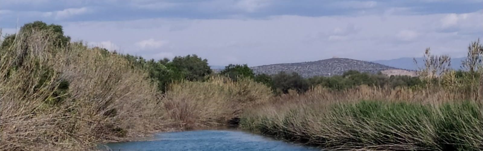 El “parte” del temps: hem arreplegat la misèria de 0.2 litres, ja veieu quin panorama