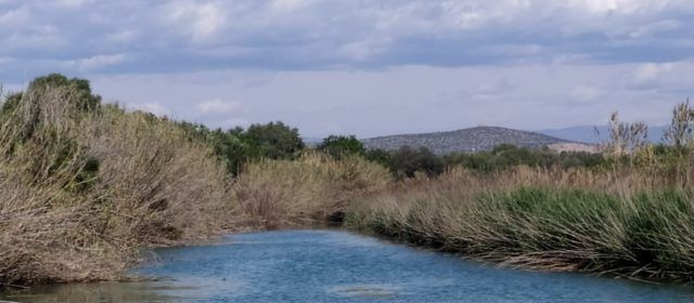 El “parte” del temps: hem arreplegat la misèria de 0.2 litres, ja veieu quin panorama