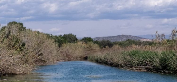El “parte” del temps: hem arreplegat la misèria de 0.2 litres, ja veieu quin panorama