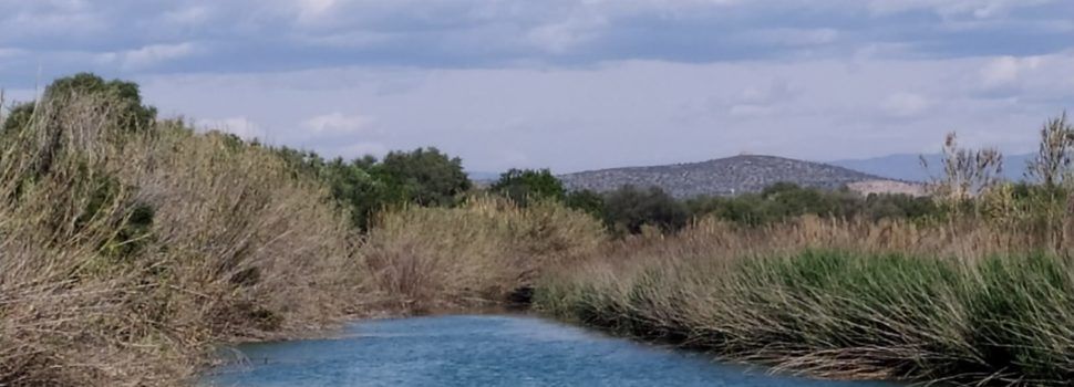 El “parte” del temps: hem arreplegat la misèria de 0.2 litres, ja veieu quin panorama
