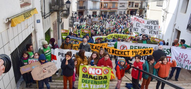 El Tribunal Superior de Justicia admite a trámite recursos contra el Magda