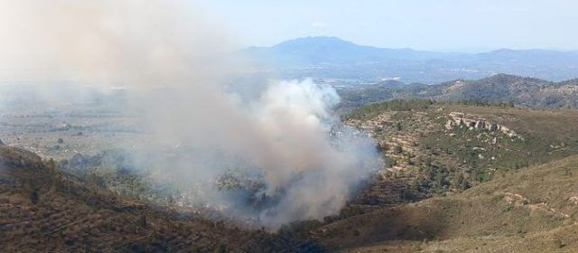 Incendi al Coll de l’Alba (Tortosa)