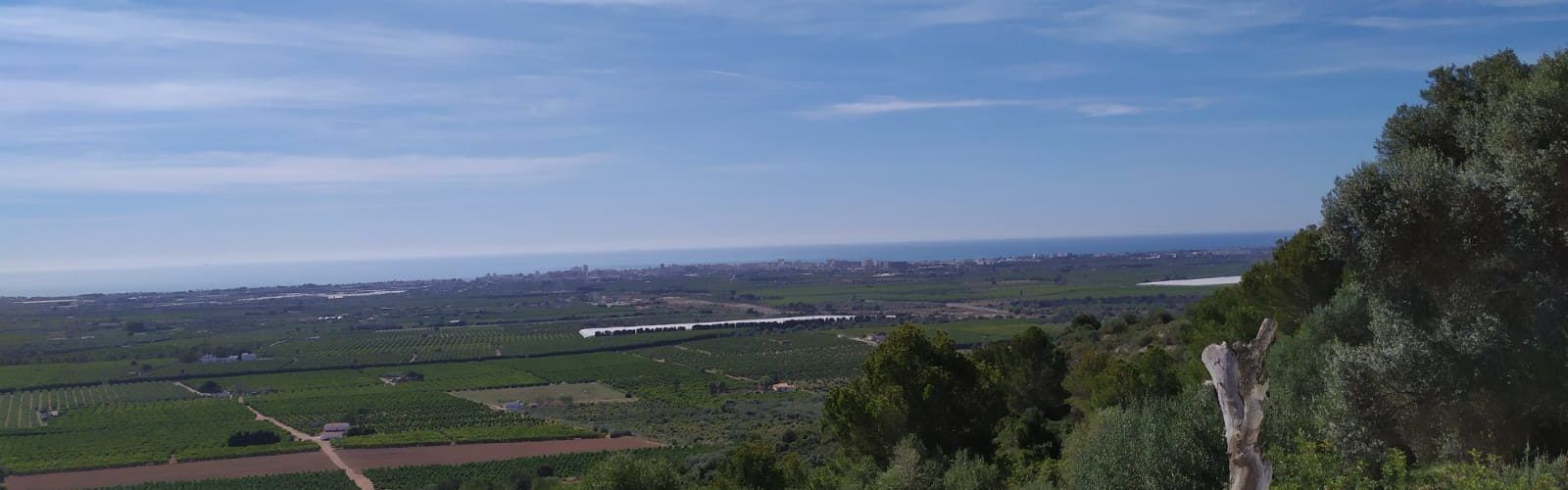 El “parte” del temps: a la tarde algun ruixat de la via cap amunt