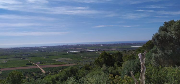 El “parte” del temps: a la tarde algun ruixat de la via cap amunt
